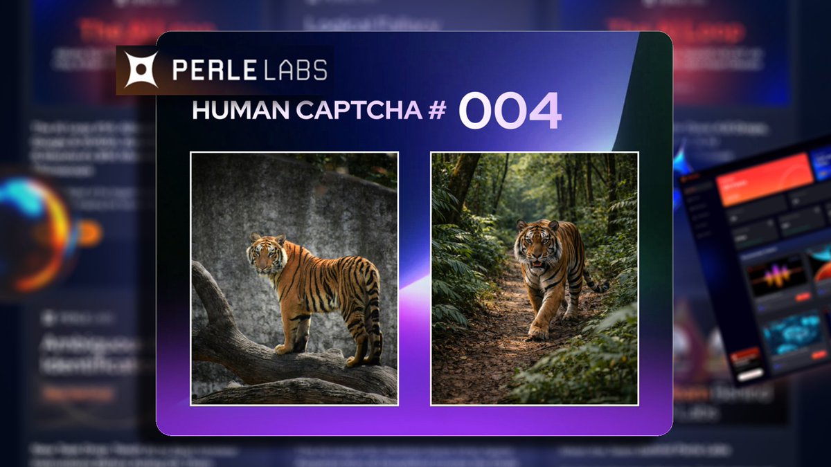 Human CAPTCHA 你猜哪张是真的1 