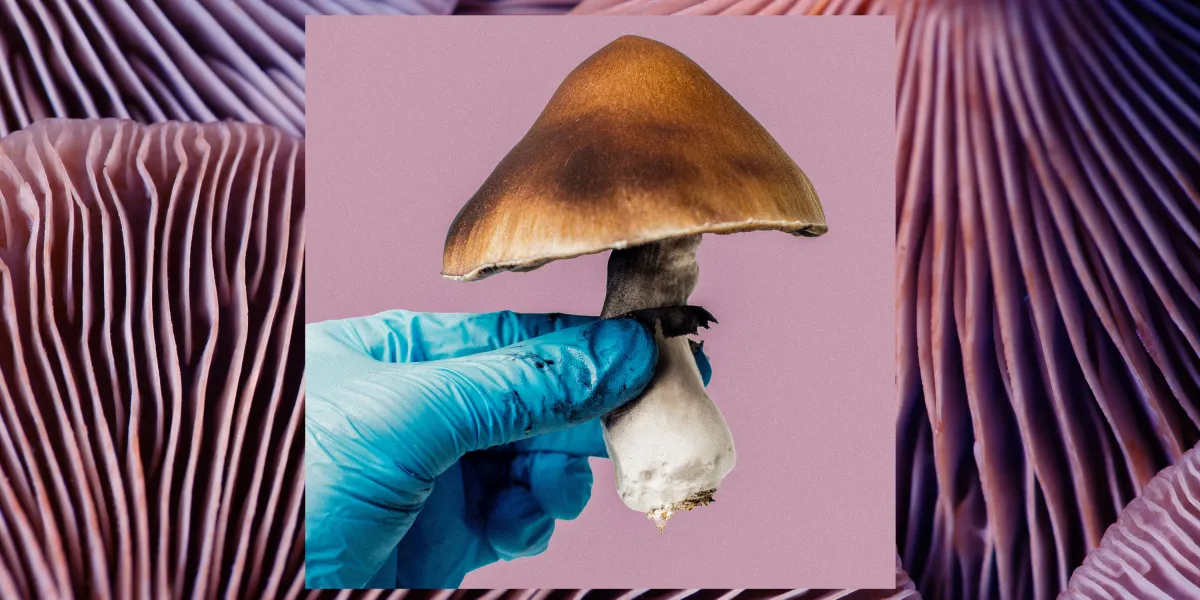 迷幻药物临床试验：十年探索仍难突破