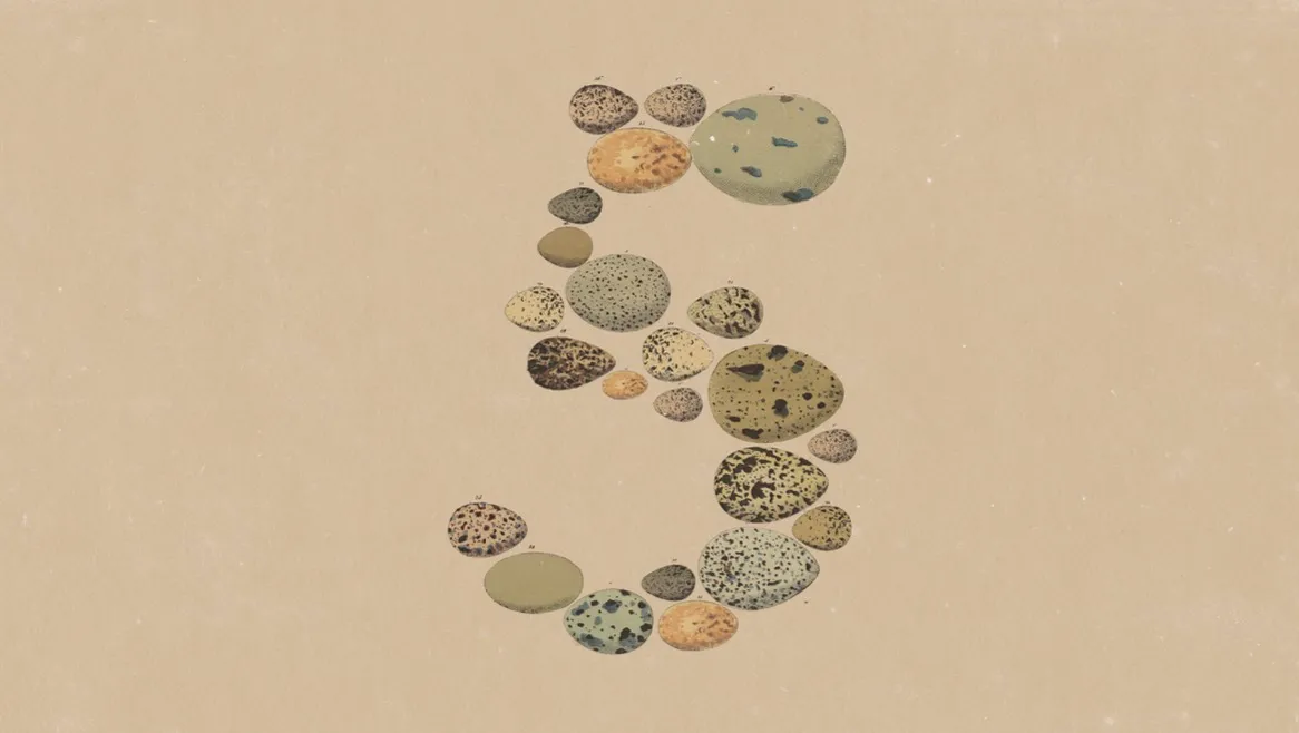 Anthropic发布Opus 5：更低成本，更少限制