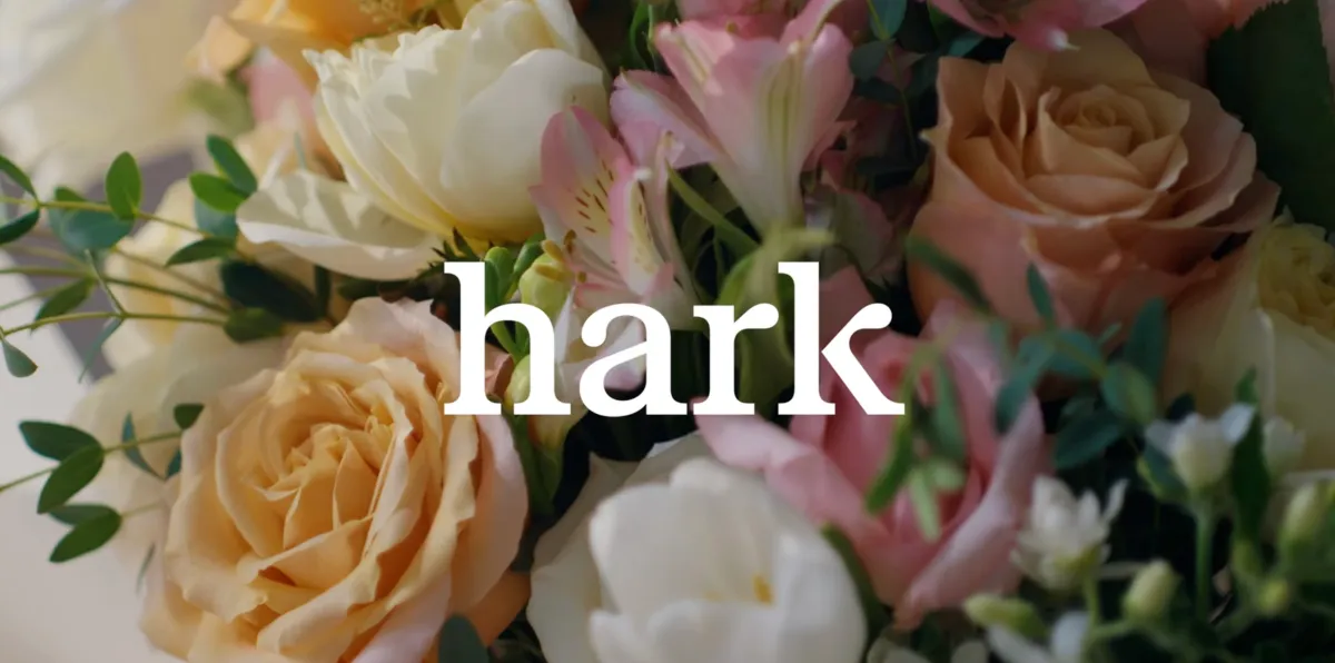 Hark预览浏览器代理：宣称更快更便宜