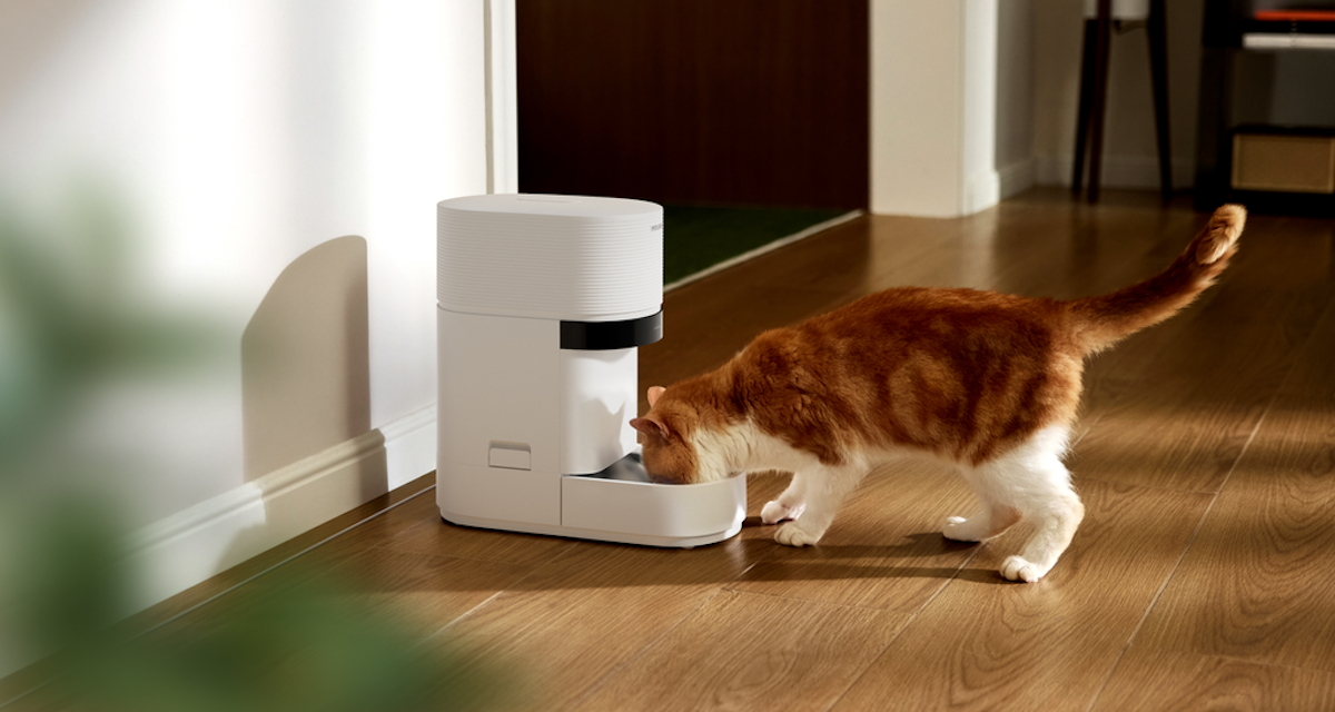 Petlibro 新 AI 喂食器：多猫家庭的喂养难题有解了
